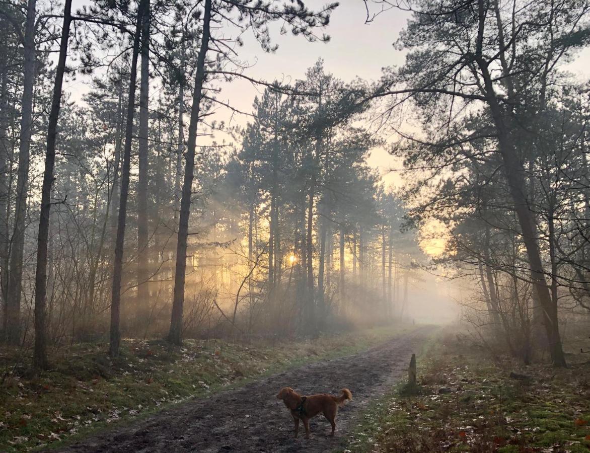 נונספייט Het Natuurhuisje Op De Veluwe מראה חיצוני תמונה
