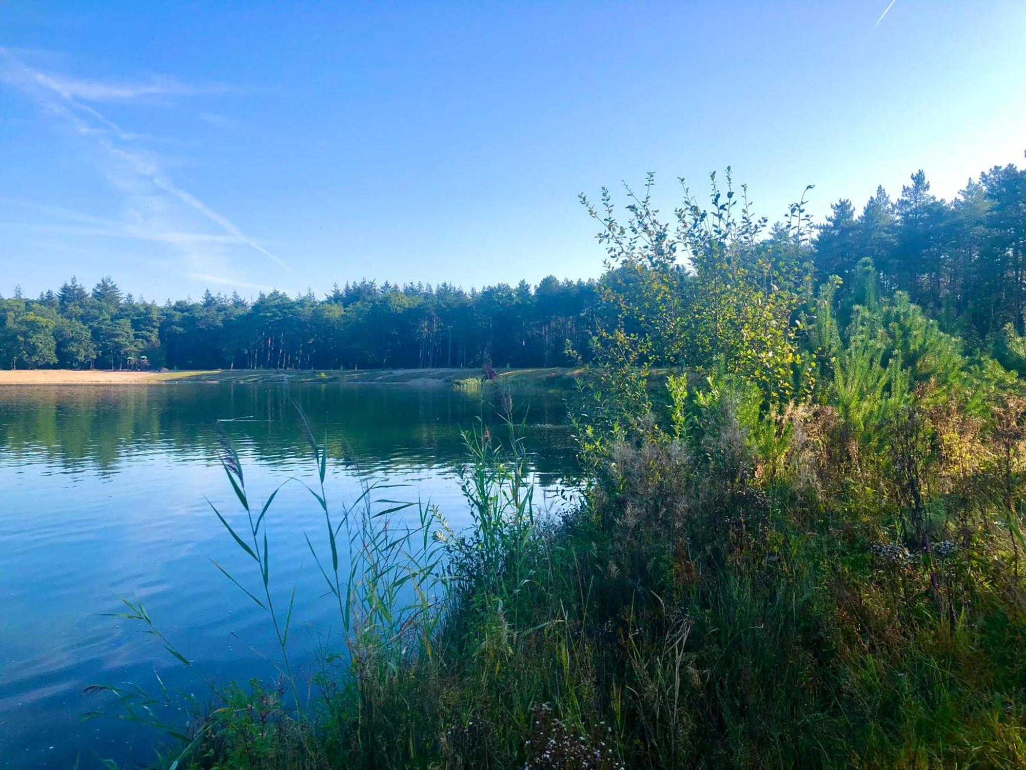 נונספייט Het Natuurhuisje Op De Veluwe מראה חיצוני תמונה