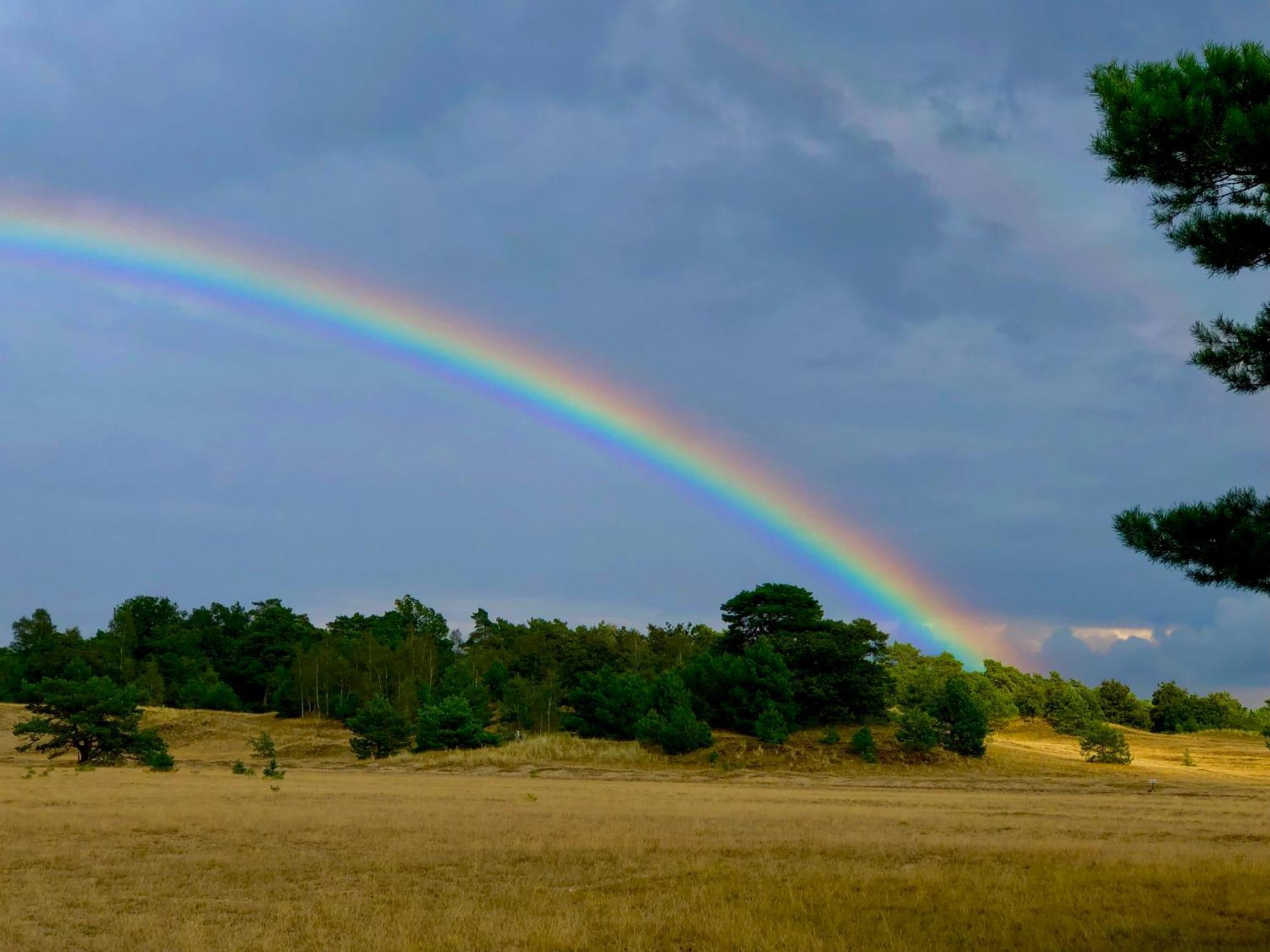 נונספייט Het Natuurhuisje Op De Veluwe מראה חיצוני תמונה